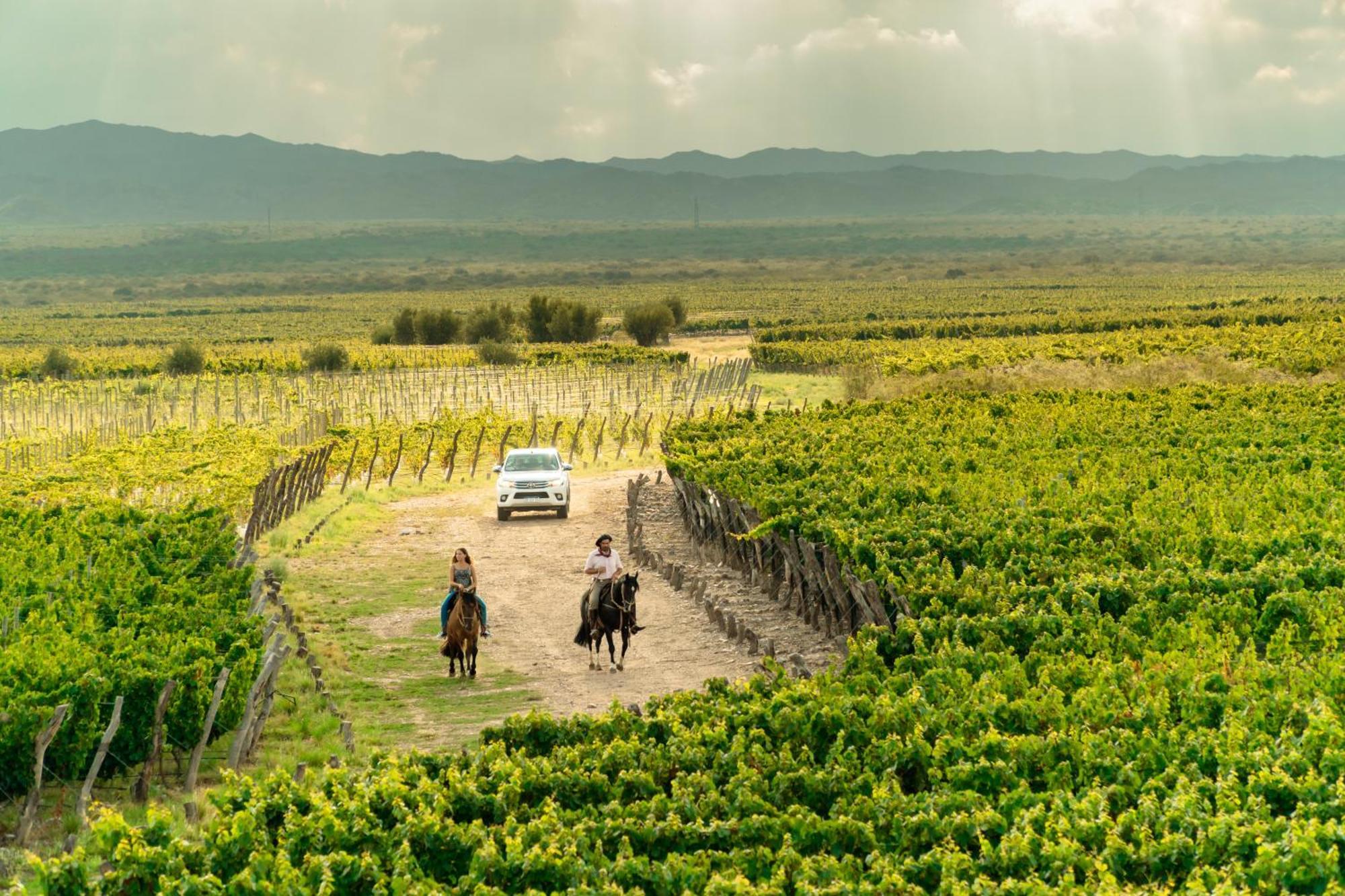 Rosell Boher Winery Lodge & Spa Agrelo Εξωτερικό φωτογραφία