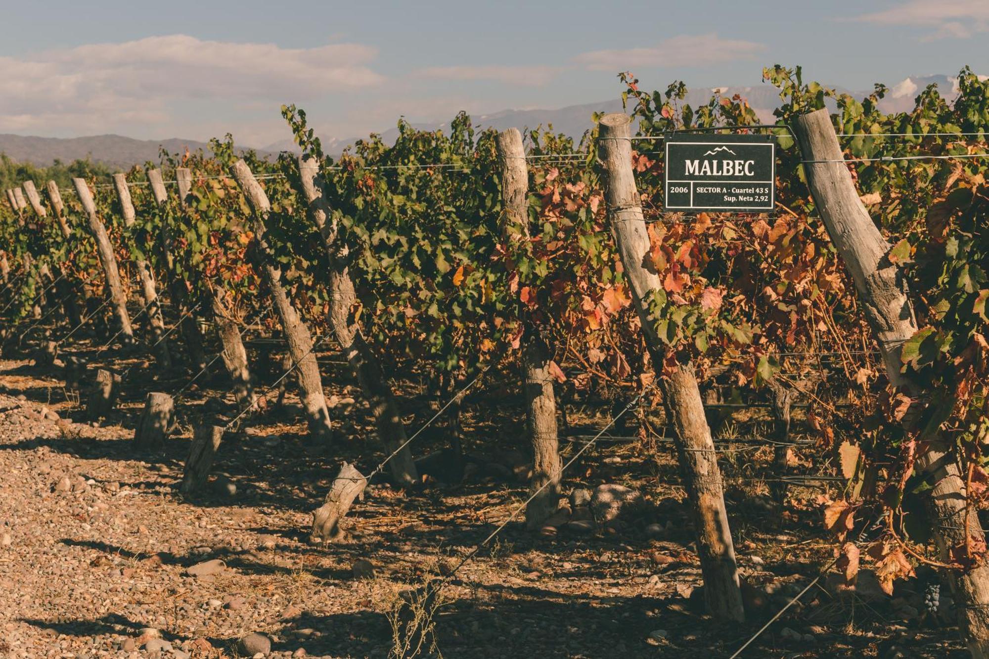 Rosell Boher Winery Lodge & Spa Agrelo Εξωτερικό φωτογραφία
