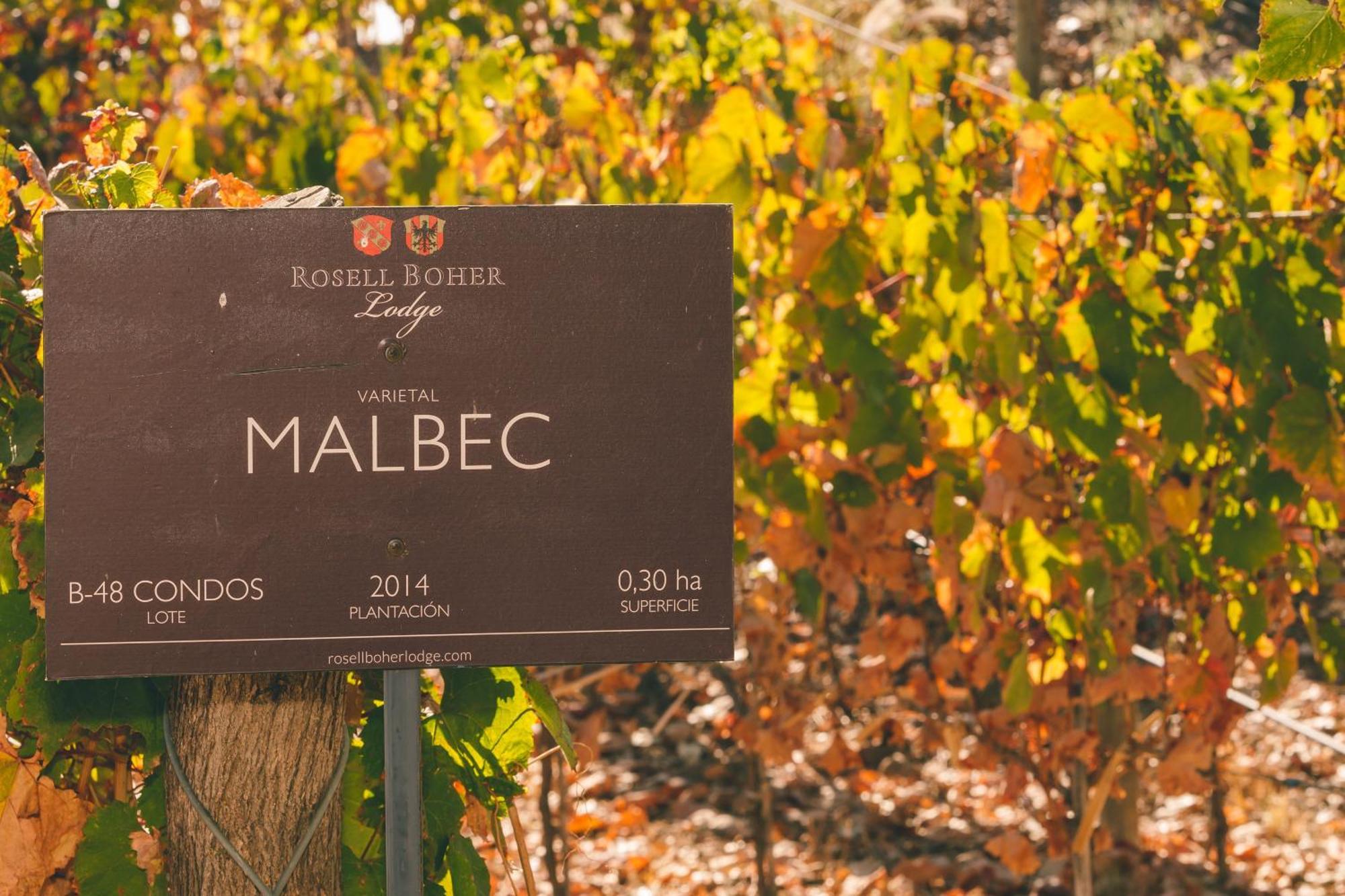 Rosell Boher Winery Lodge & Spa Agrelo Εξωτερικό φωτογραφία