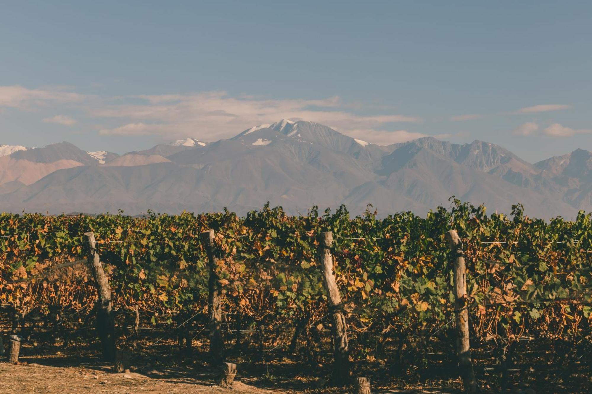 Rosell Boher Winery Lodge & Spa Agrelo Εξωτερικό φωτογραφία