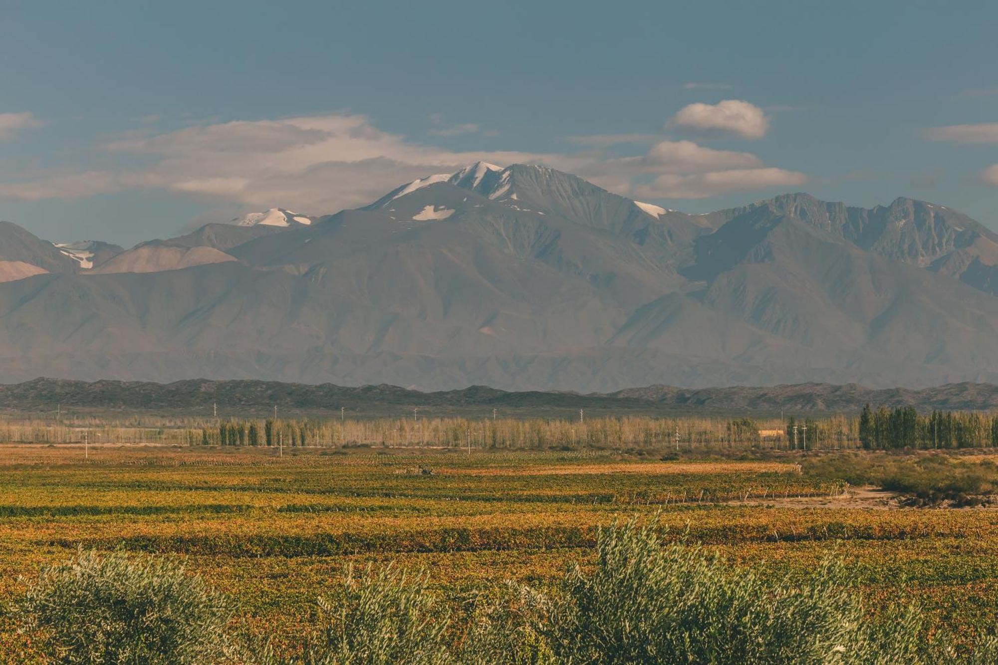 Rosell Boher Winery Lodge & Spa Agrelo Εξωτερικό φωτογραφία